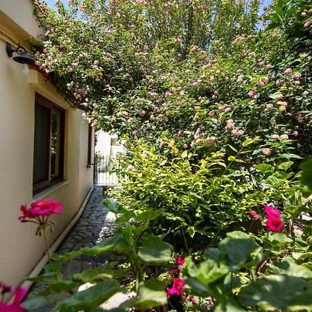 Elisavet'S House Villa Platanias  Ngoại thất bức ảnh