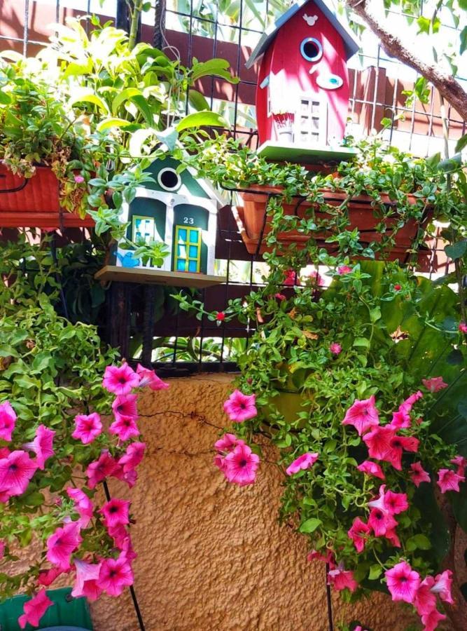 Elisavet'S House Villa Platanias  Ngoại thất bức ảnh