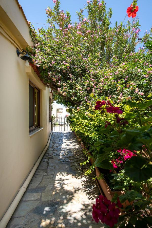 Elisavet'S House Villa Platanias  Ngoại thất bức ảnh